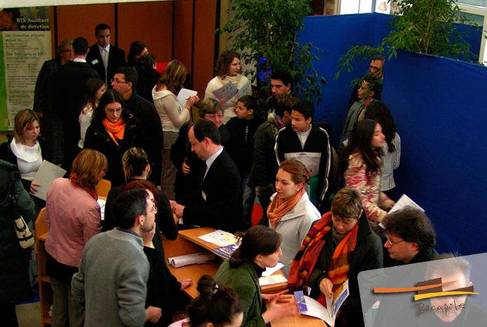 cofem4